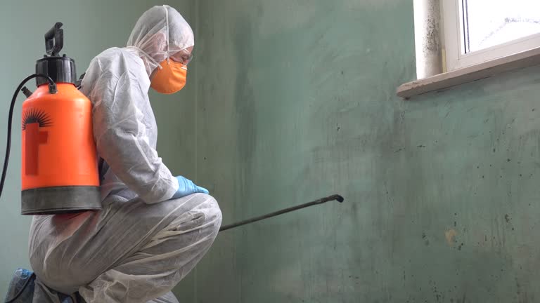 Best Biohazard Mold Removal  in San Andreas, CA